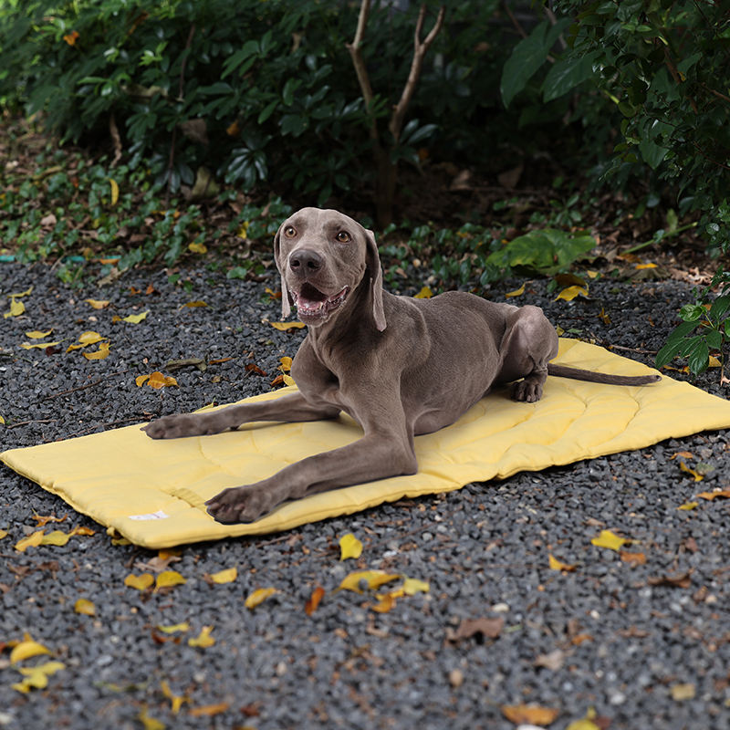 Переносной Коврик для домашних – обзор и цена Outdoor Camping Rugs
